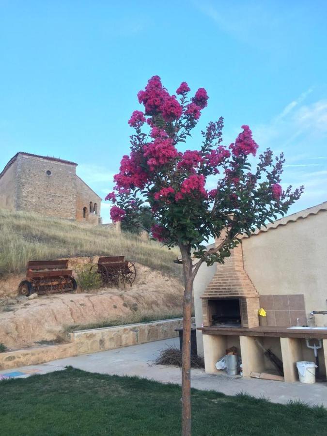 Casa Rural La Charolesa Aguilera 외부 사진