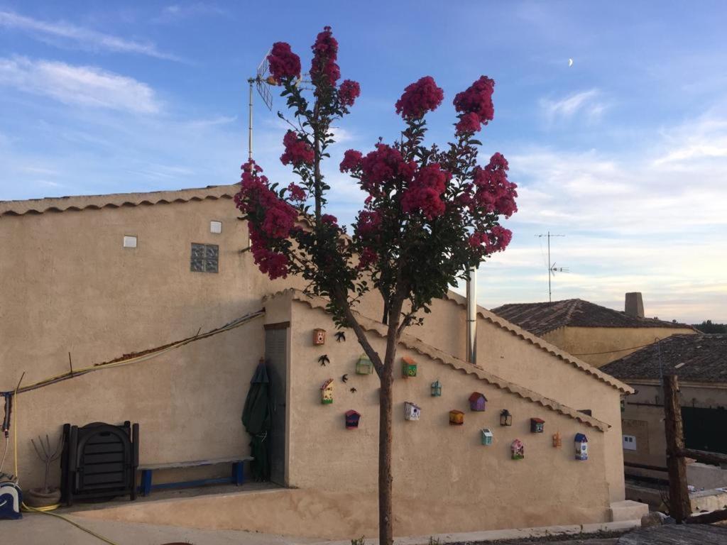 Casa Rural La Charolesa Aguilera 외부 사진